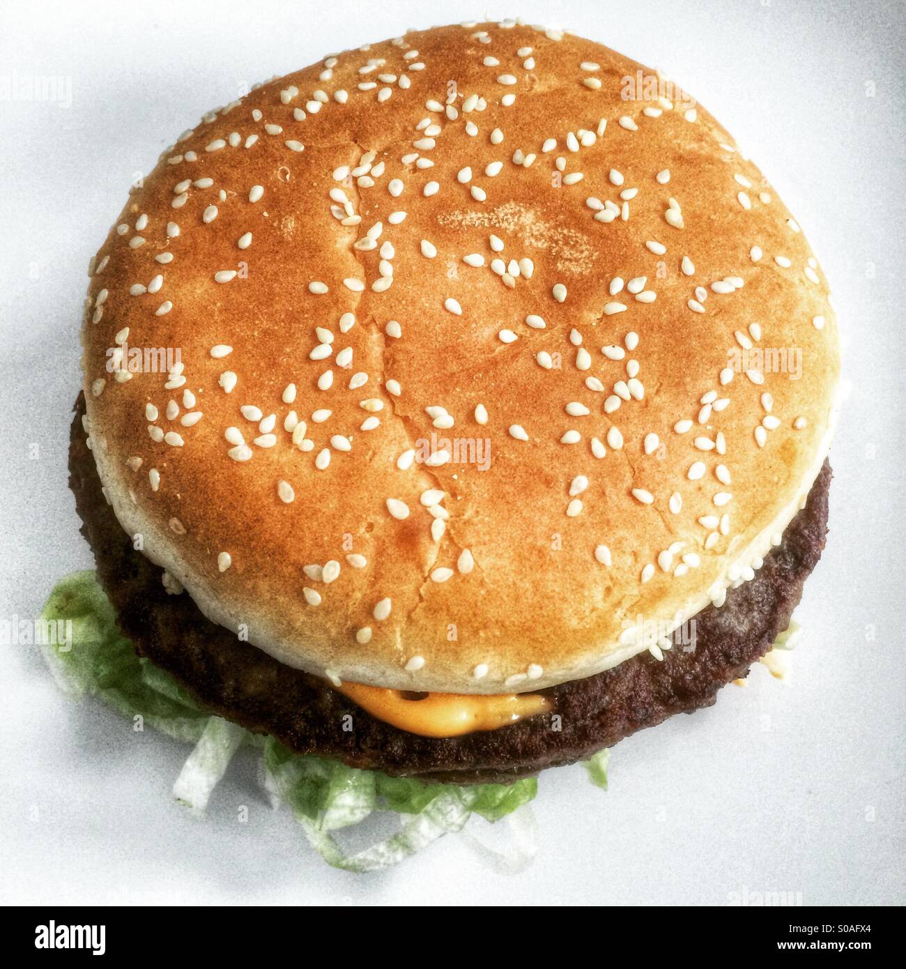 A beef burger in a sesame seed bap Stock Photo