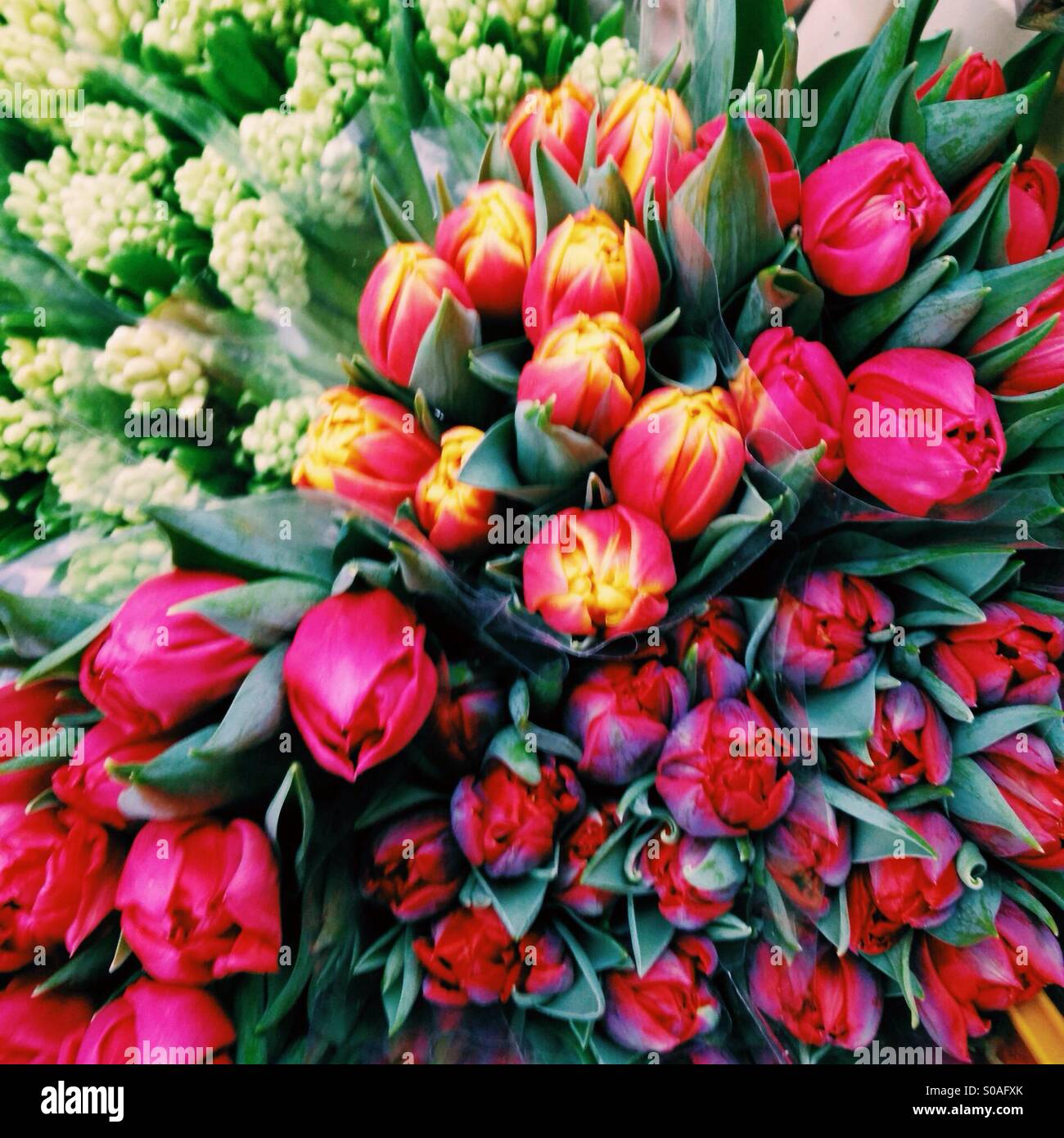 Tulips and flowers are in full bloom in this beautiful bouquet. Stock Photo