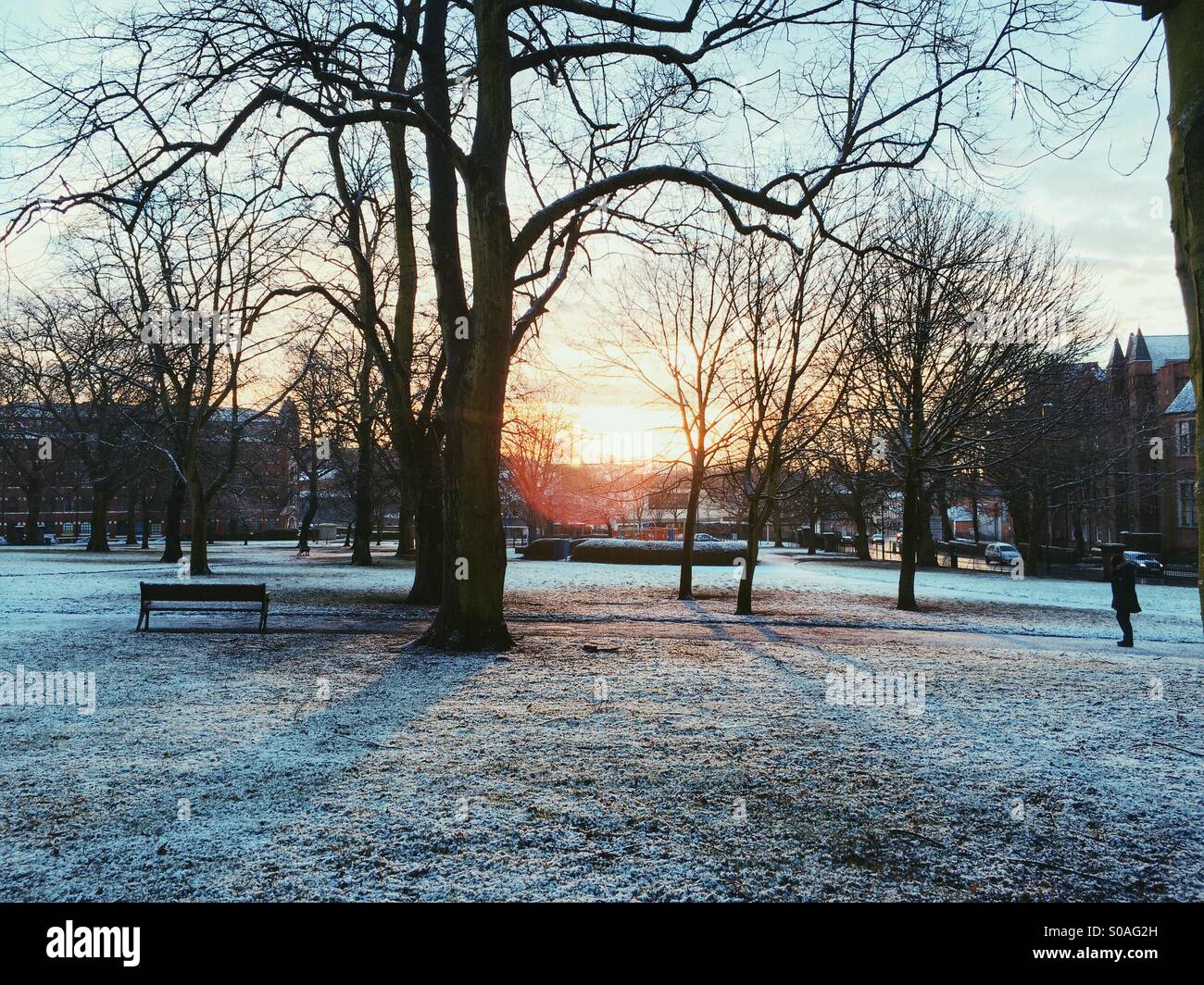 Victoria Park, morning, January 2015 Stock Photo