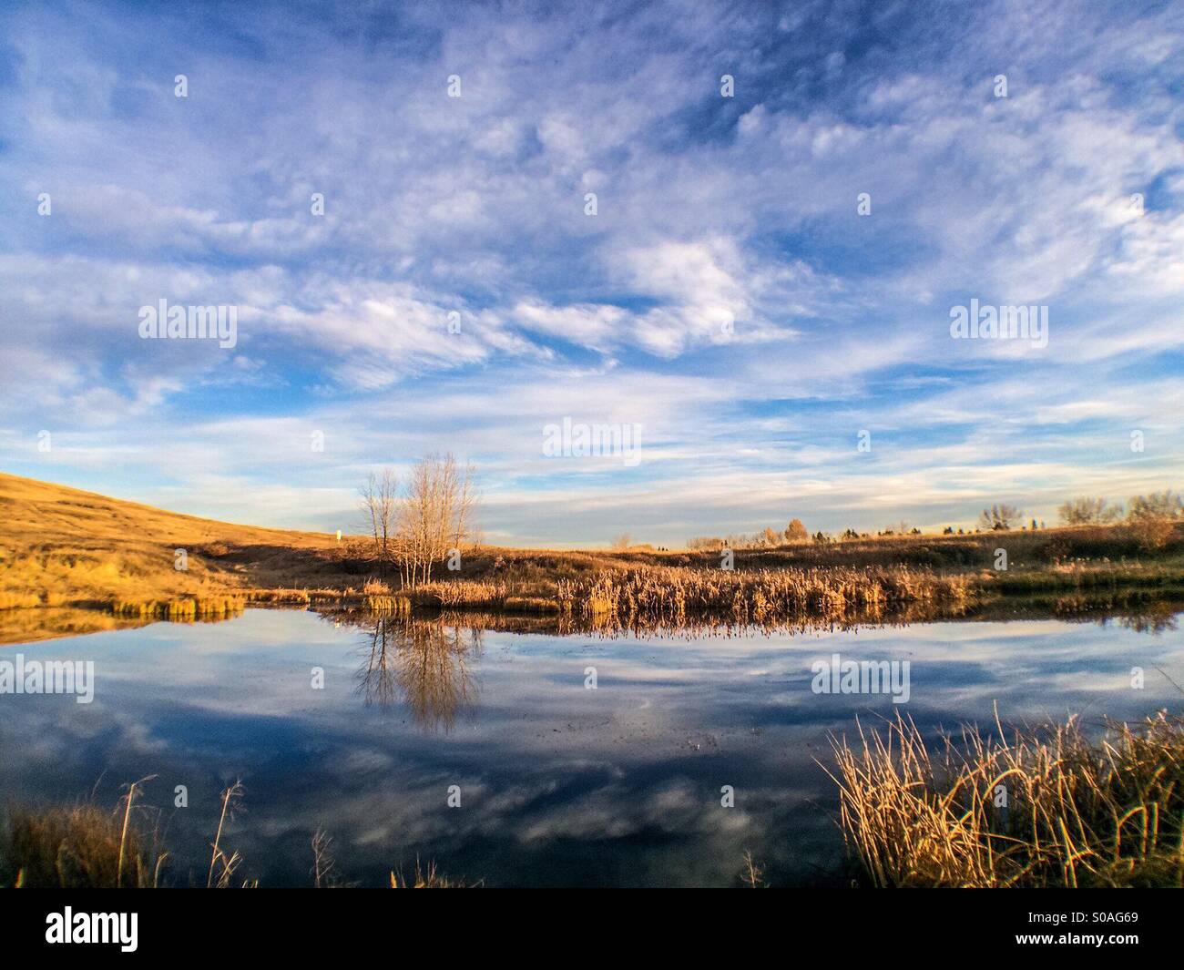 Reflection in a small lake - Smartphone Captured Stock Image