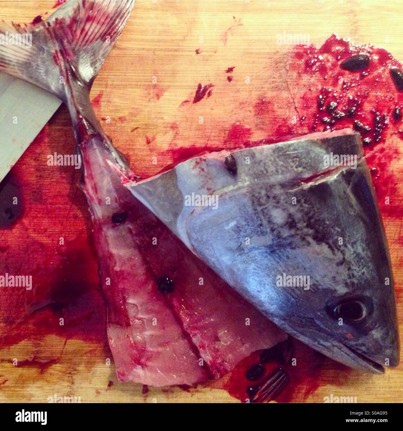 Cutting tuna fish on wooden board Stock Photo