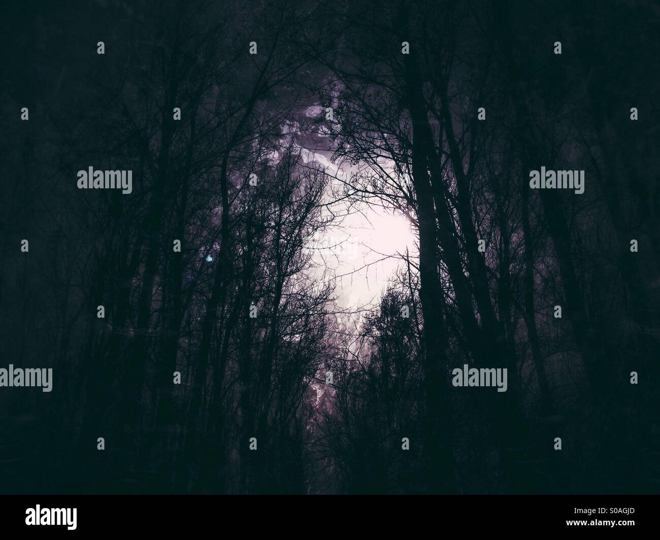 Light at end forest hi-res stock photography and images - Alamy