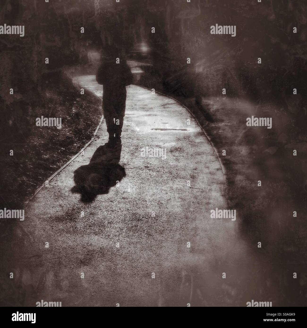 Walking down a path - Smartphone Captured Stock Image