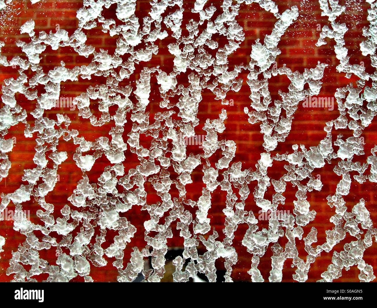 Beads of ice on a house window with brick wall in the background - Smartphone Captured Stock Image