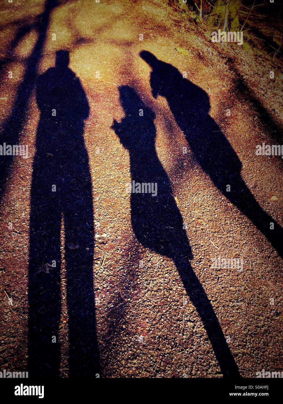 Family shadow portrait - Smartphone Captured Stock Image