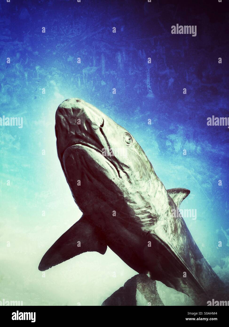 Shark Statue Stock Photos & Shark Statue Stock Images Alamy