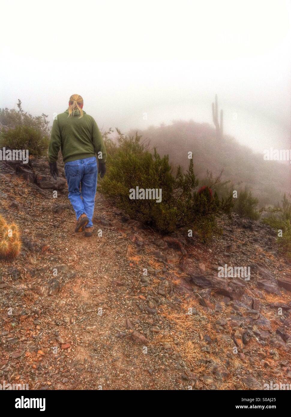 Male hiker on trail hi-res stock photography and images - Alamy