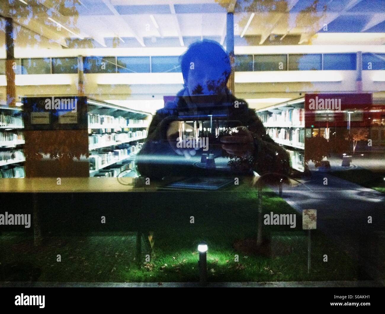 Person in the library - Smartphone Captured Stock Image
