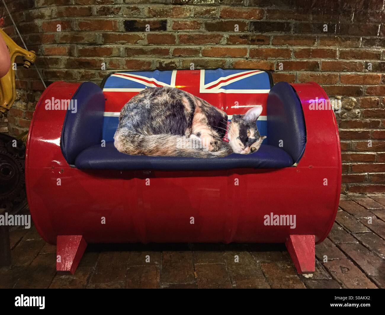 Sleeping cat on red sofa chair Stock Photo Alamy