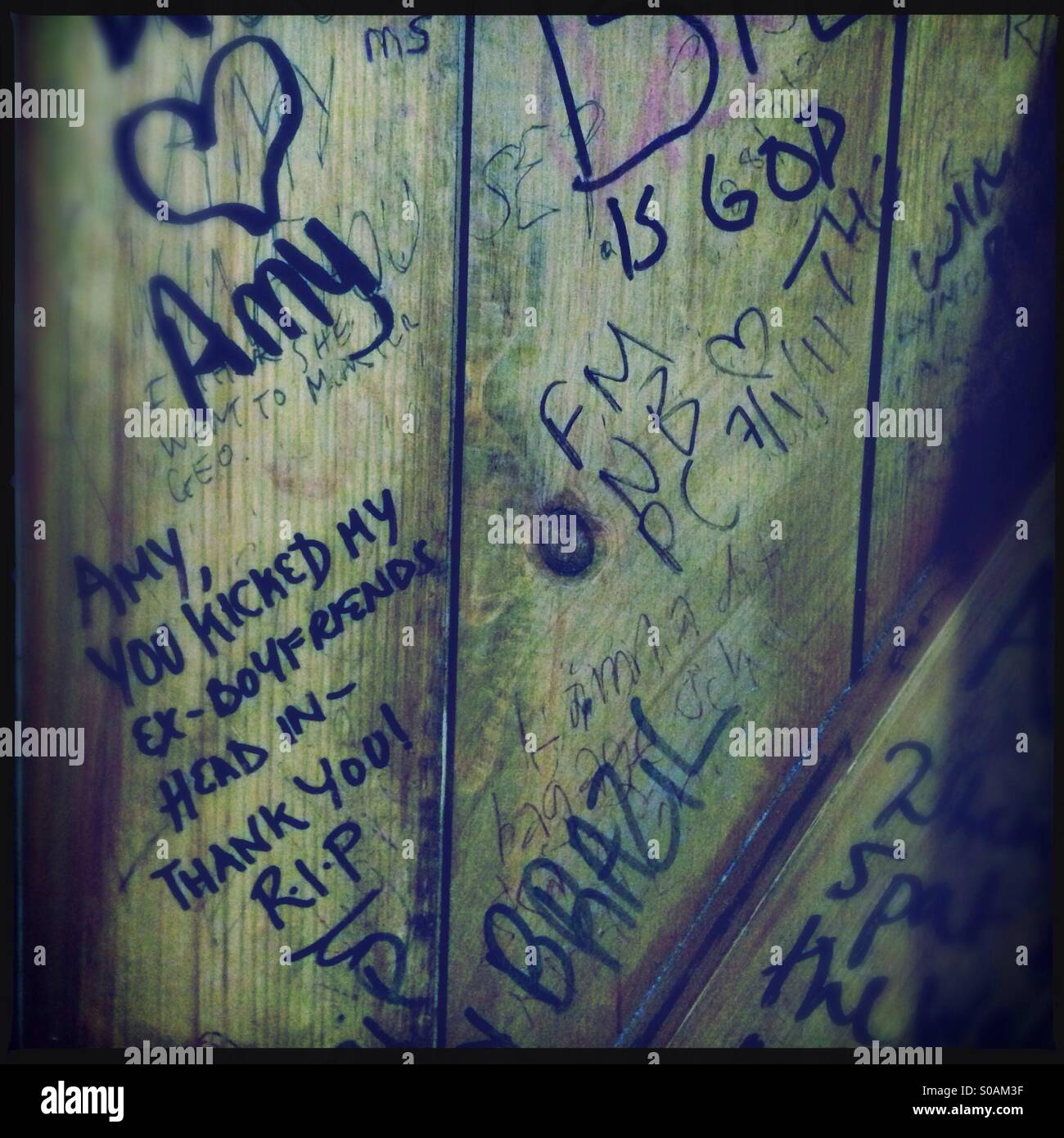 Toilet cubicle door in the Hawley Arms with graffiti tributes to Amy Winehouse Stock Photo