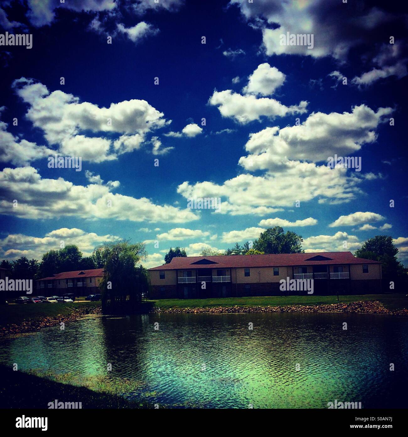 My Image 76