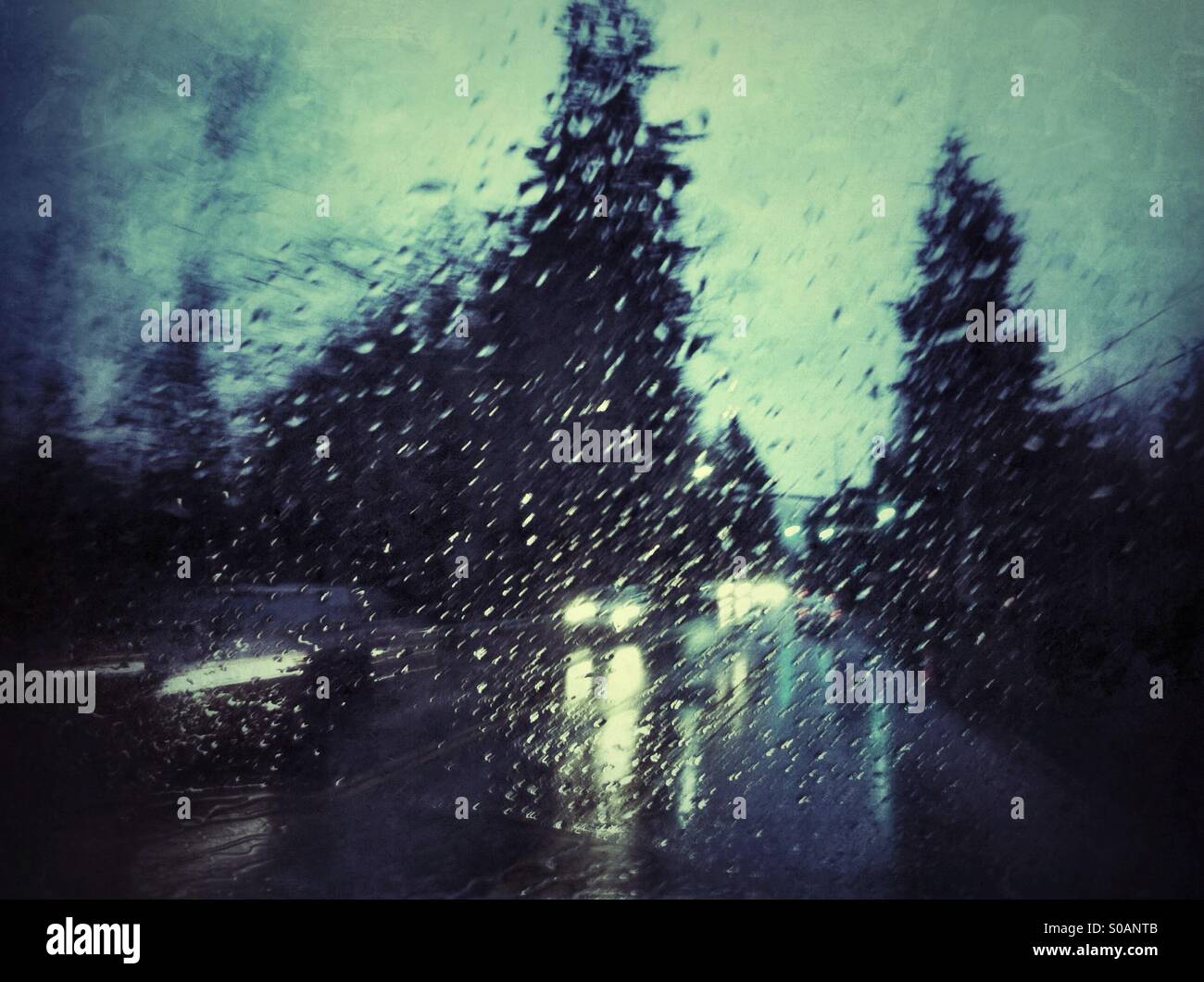 Heavy rain in Pacific Northwest - Smartphone Captured Stock Image