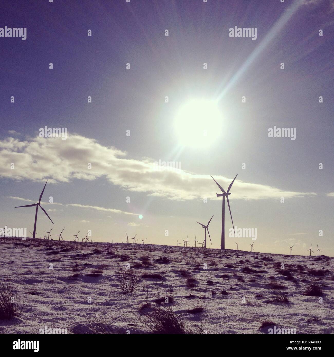 Whitelee wind farm in the snow, Scotland Stock Photo