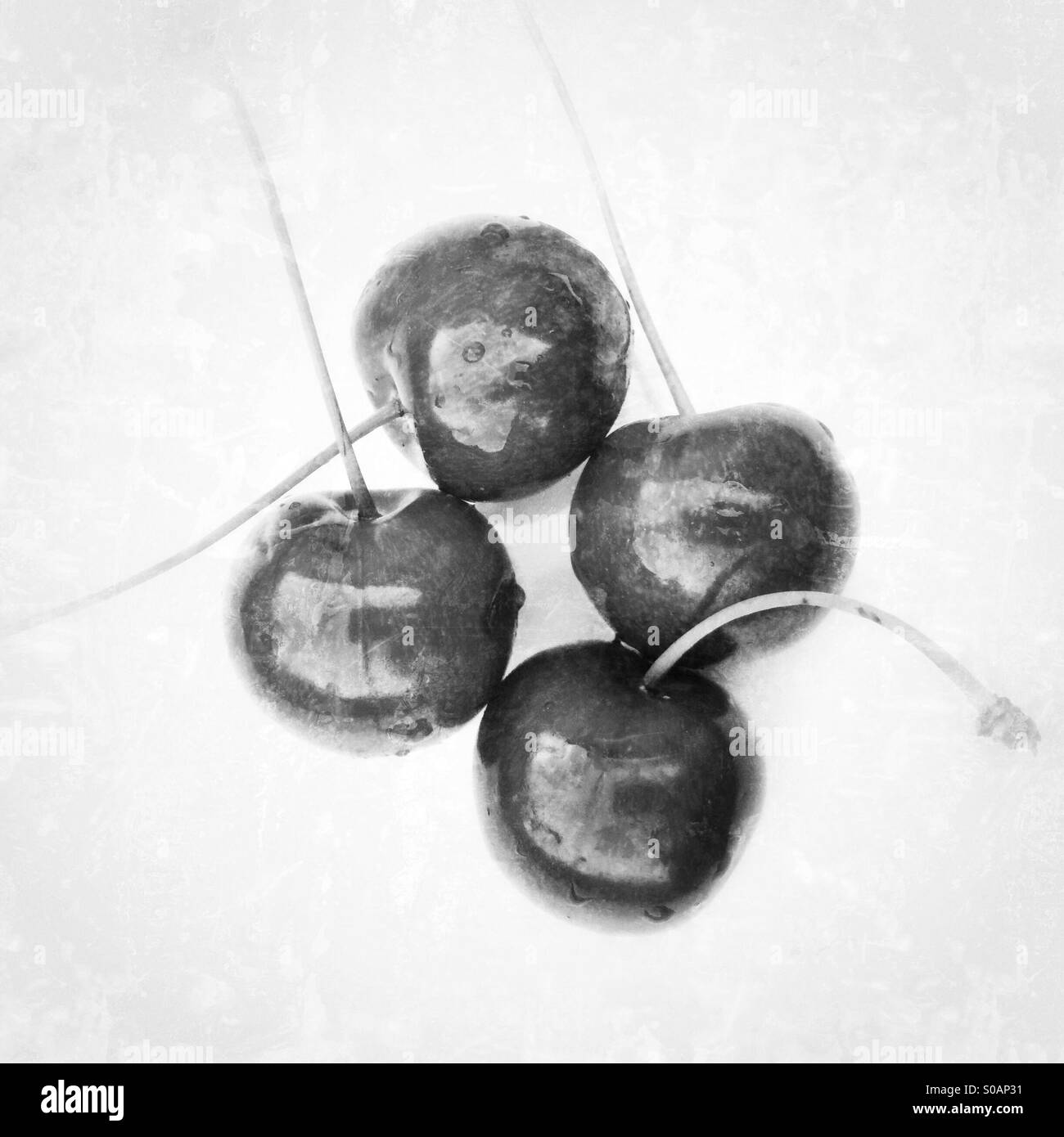Cherries Black and White Stock Photos & Images Alamy
