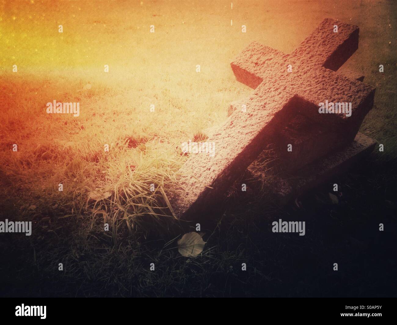 Stone crucifix shaped headstone fallen over in English graveyard with