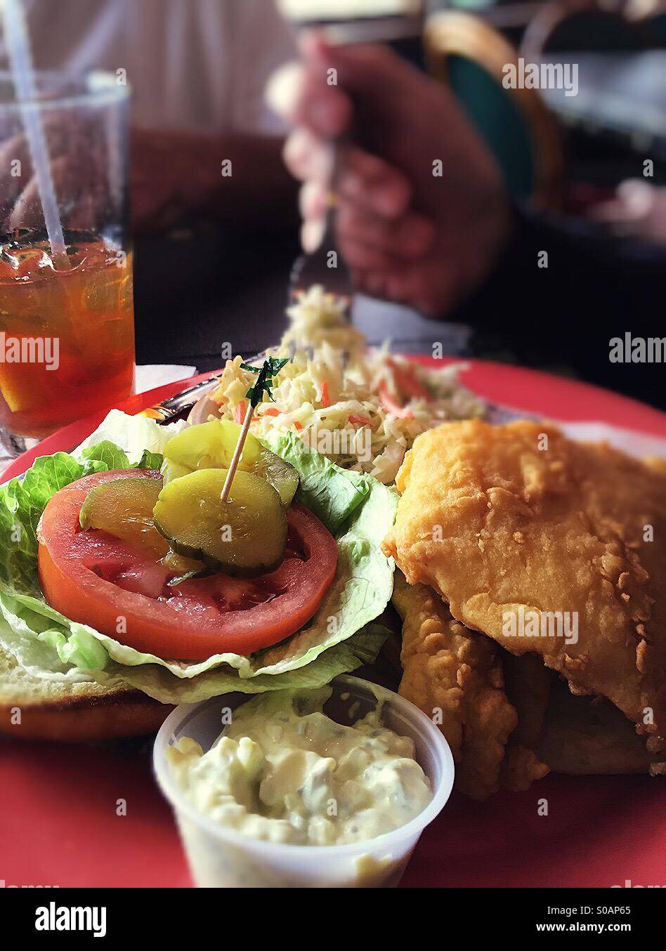 Lunch plate - Smartphone Captured Stock Image
