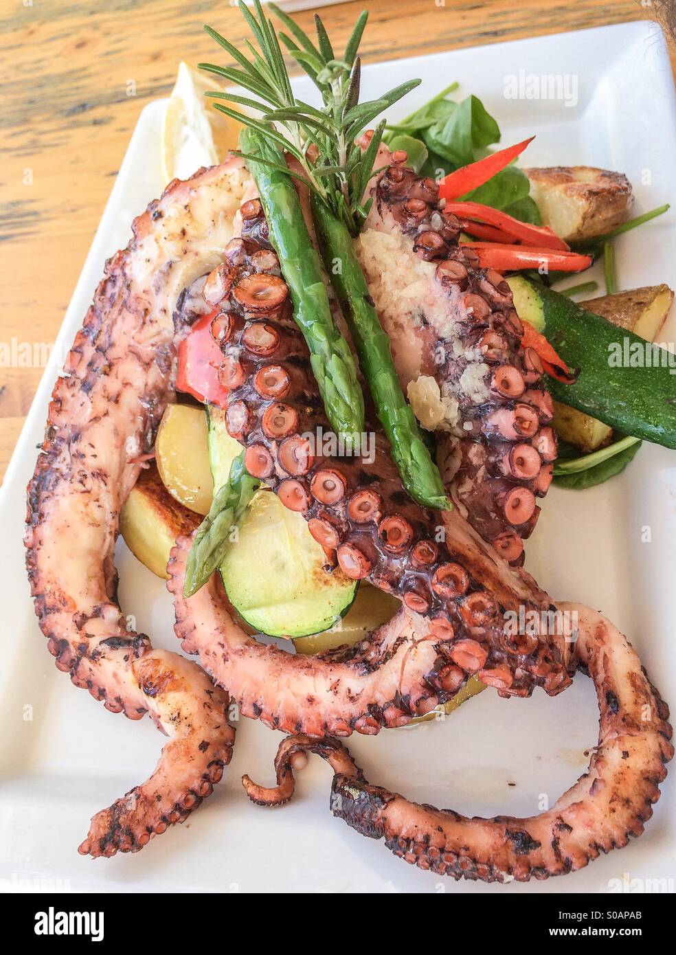 Grilled Octopus Tentacles With Vegetables Mediterranean Cuisine Stock Photo
