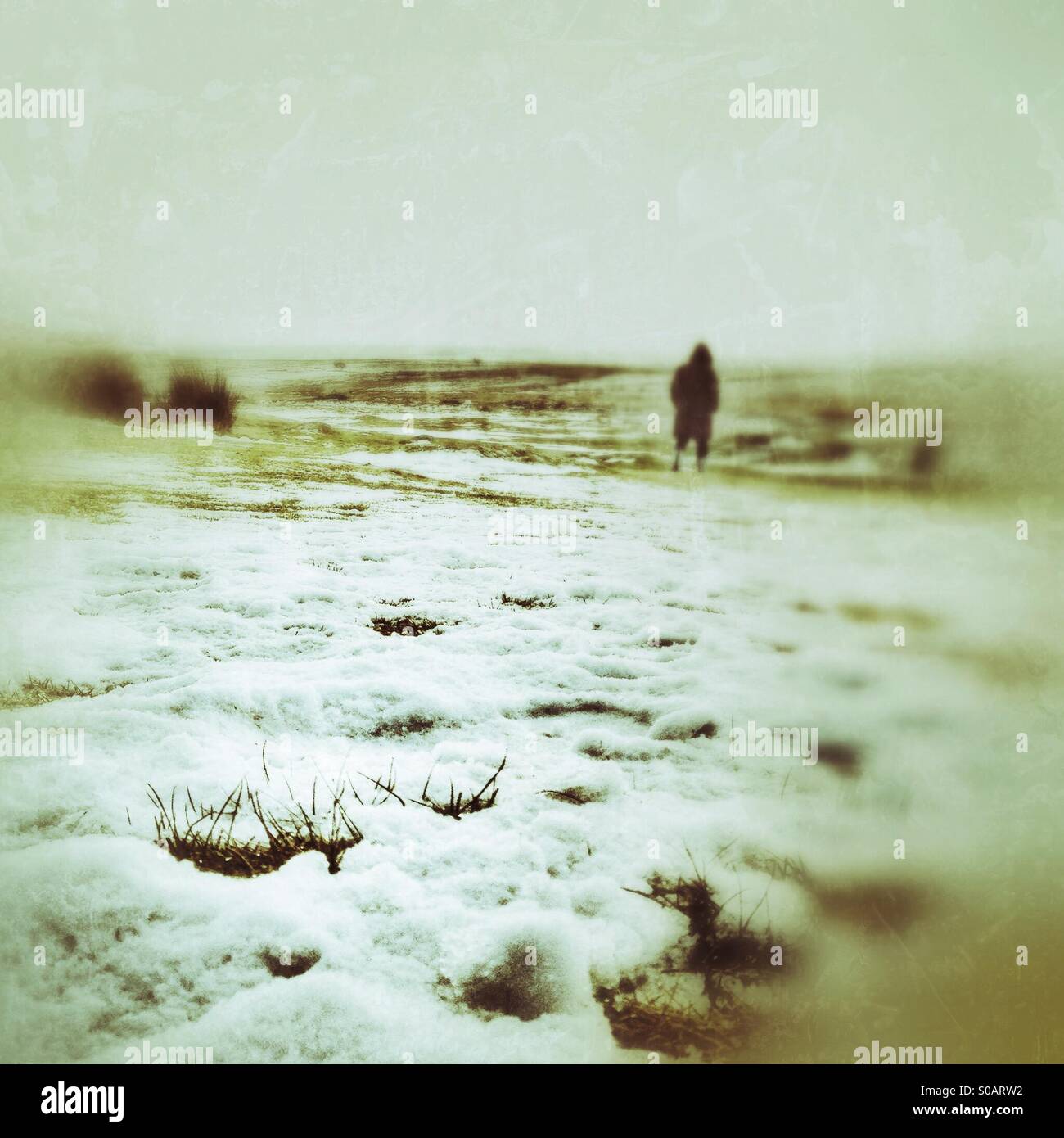 Walking on the moor - Smartphone Captured Stock Image