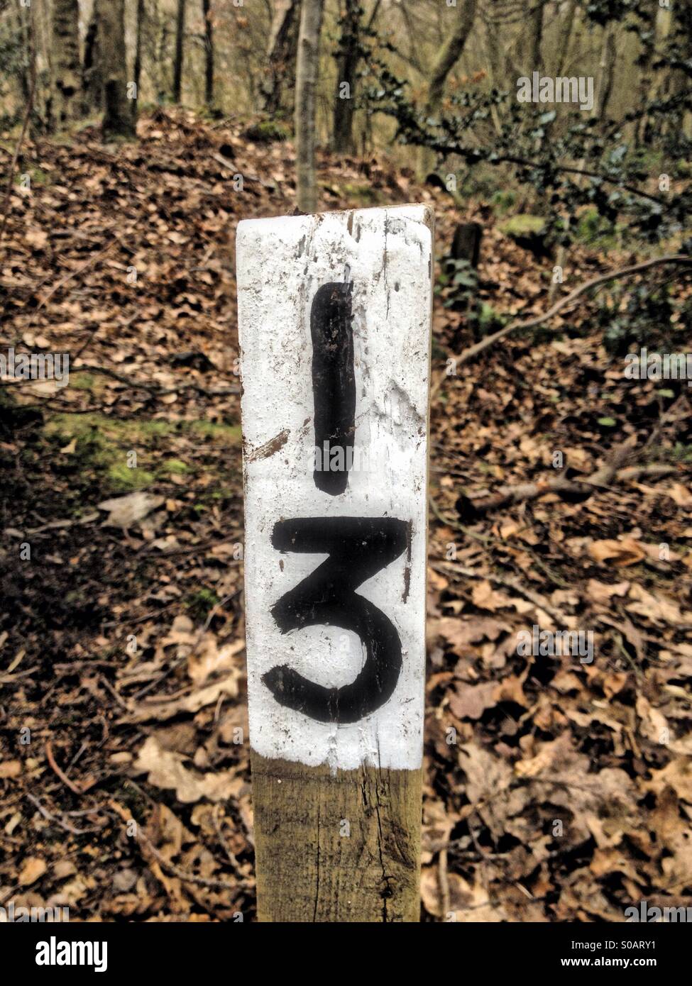 Number 13 on a way marker - Smartphone Captured Stock Image