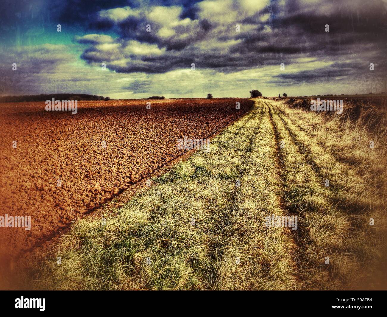 A 'beetle bank' adjacent to a ploughed field. Sudbrook, Lincolnshire, England. - Smartphone Captured Stock Image