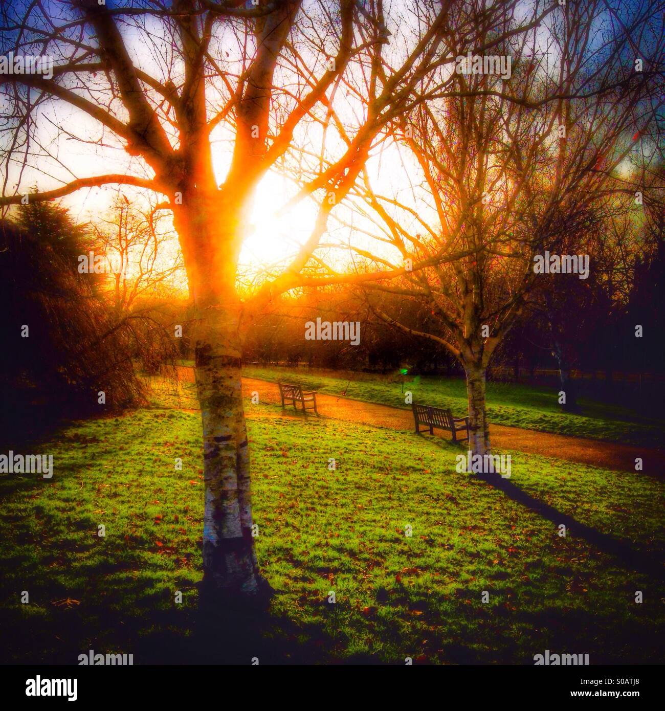 Sunrise in Hyde park - Smartphone Captured Stock Image