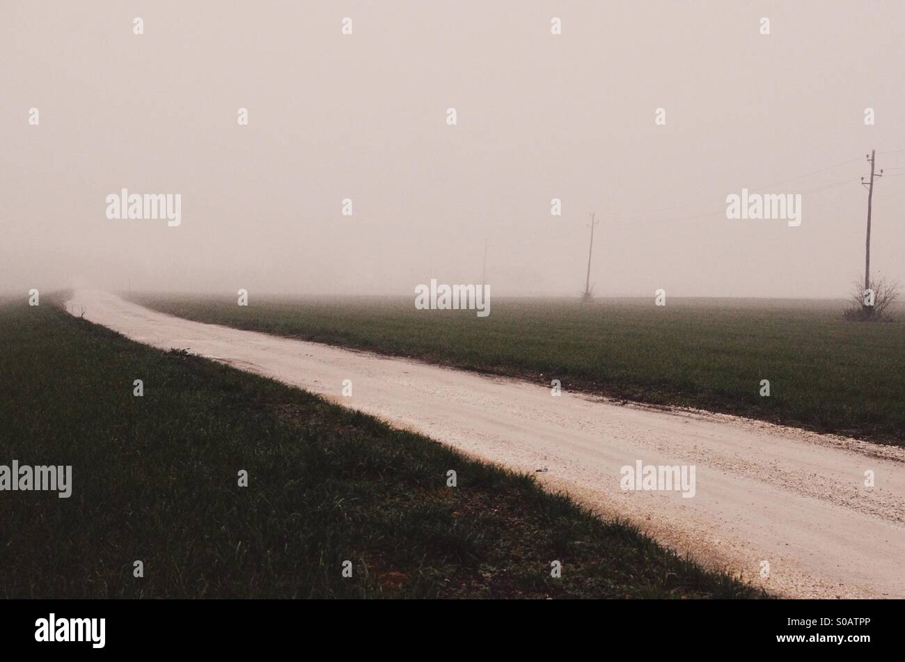 A road in a foggy day Stock Photo - Alamy