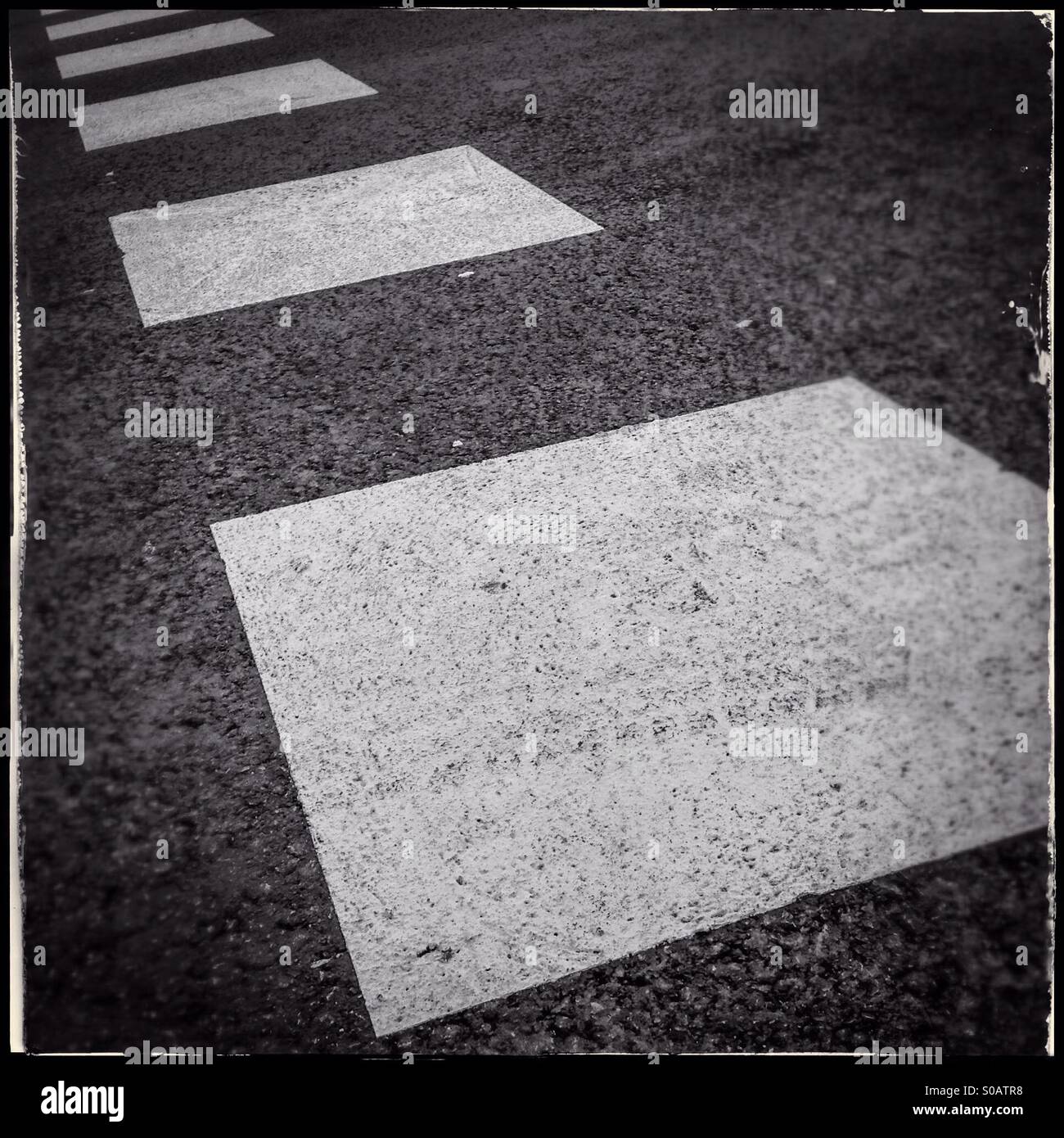 White squares painted on asphalt pedestetrian crossing Stock Photo Alamy