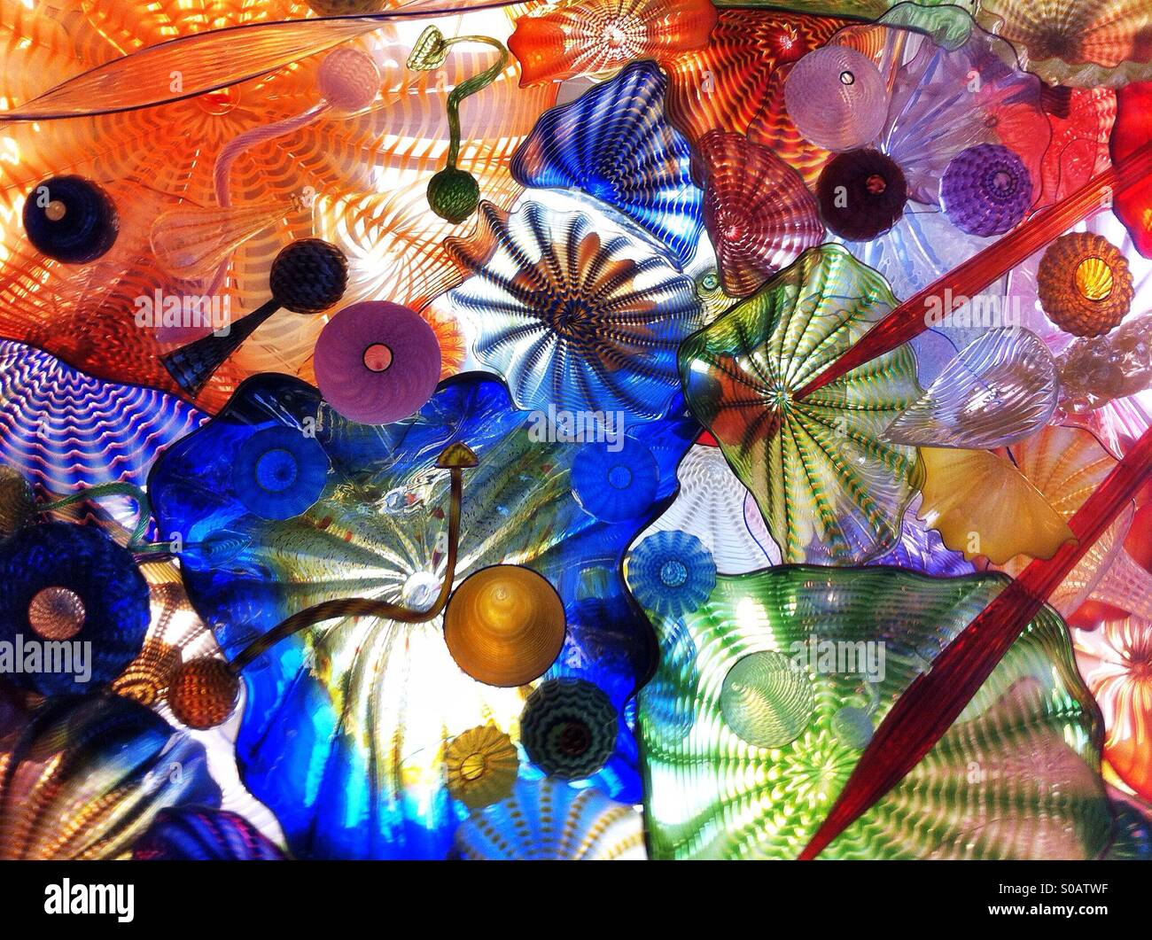 glass ceiling with Dail Chihuly blown glass pieces in Tacoma, WA - Smartphone Captured Stock Image
