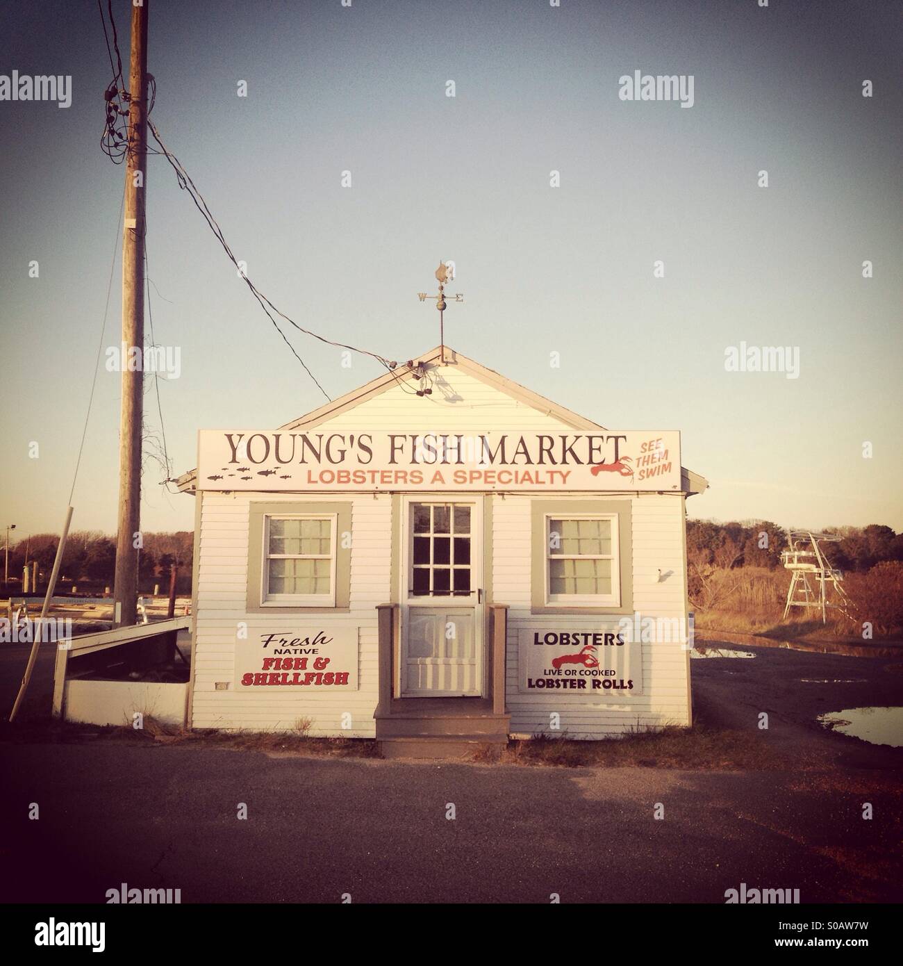 Young's Fish Market, Cape Cod, Massachusetts Stock Photo Alamy