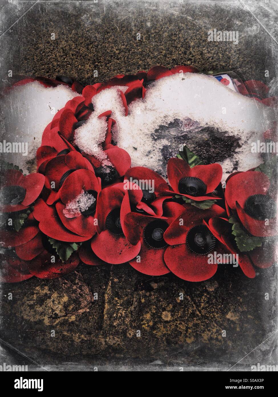 Remembrance day red poppies wreath hi-res stock photography and images ...