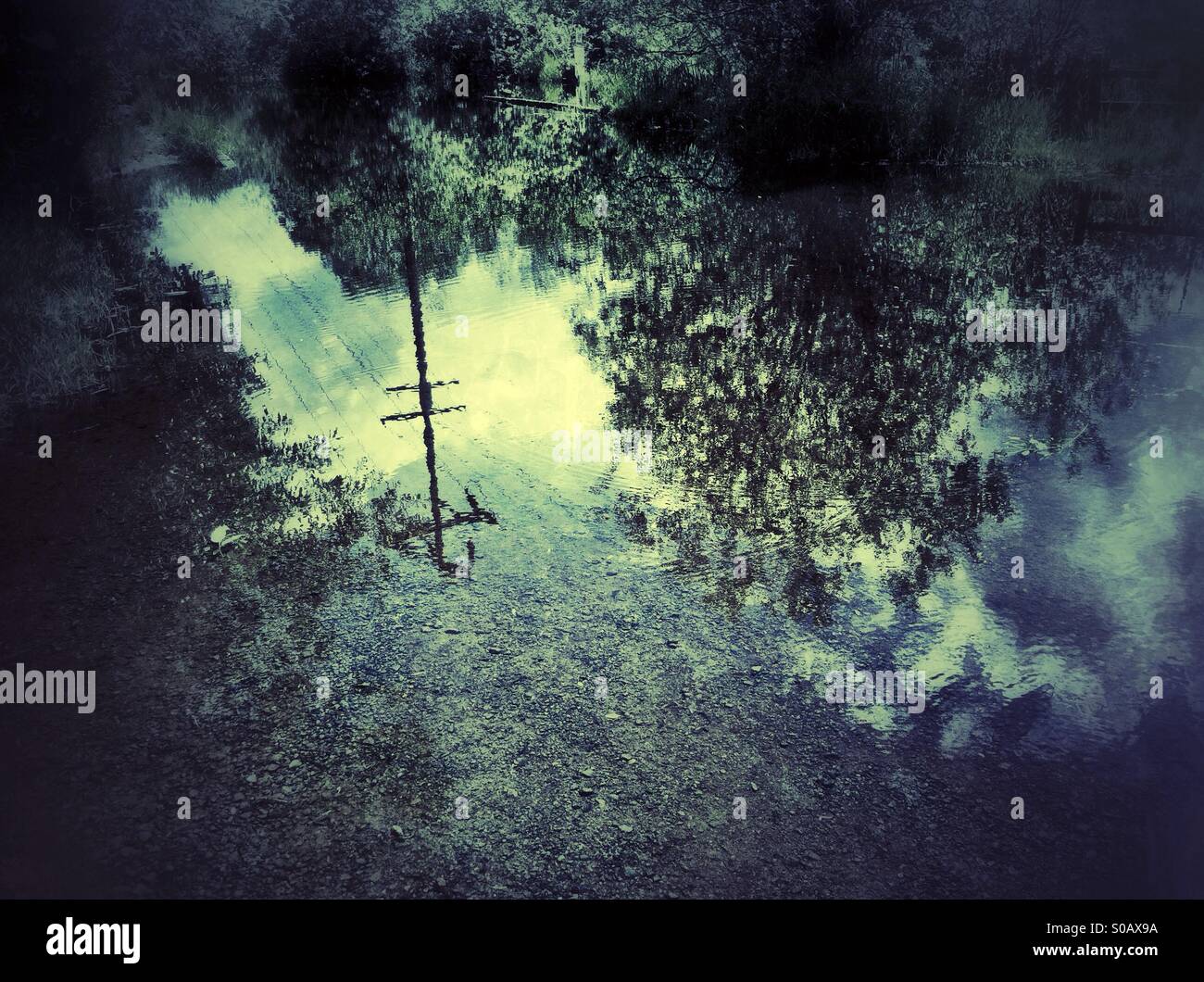 Power lines pole reflecting in a small pool of water - Smartphone Captured Stock Image