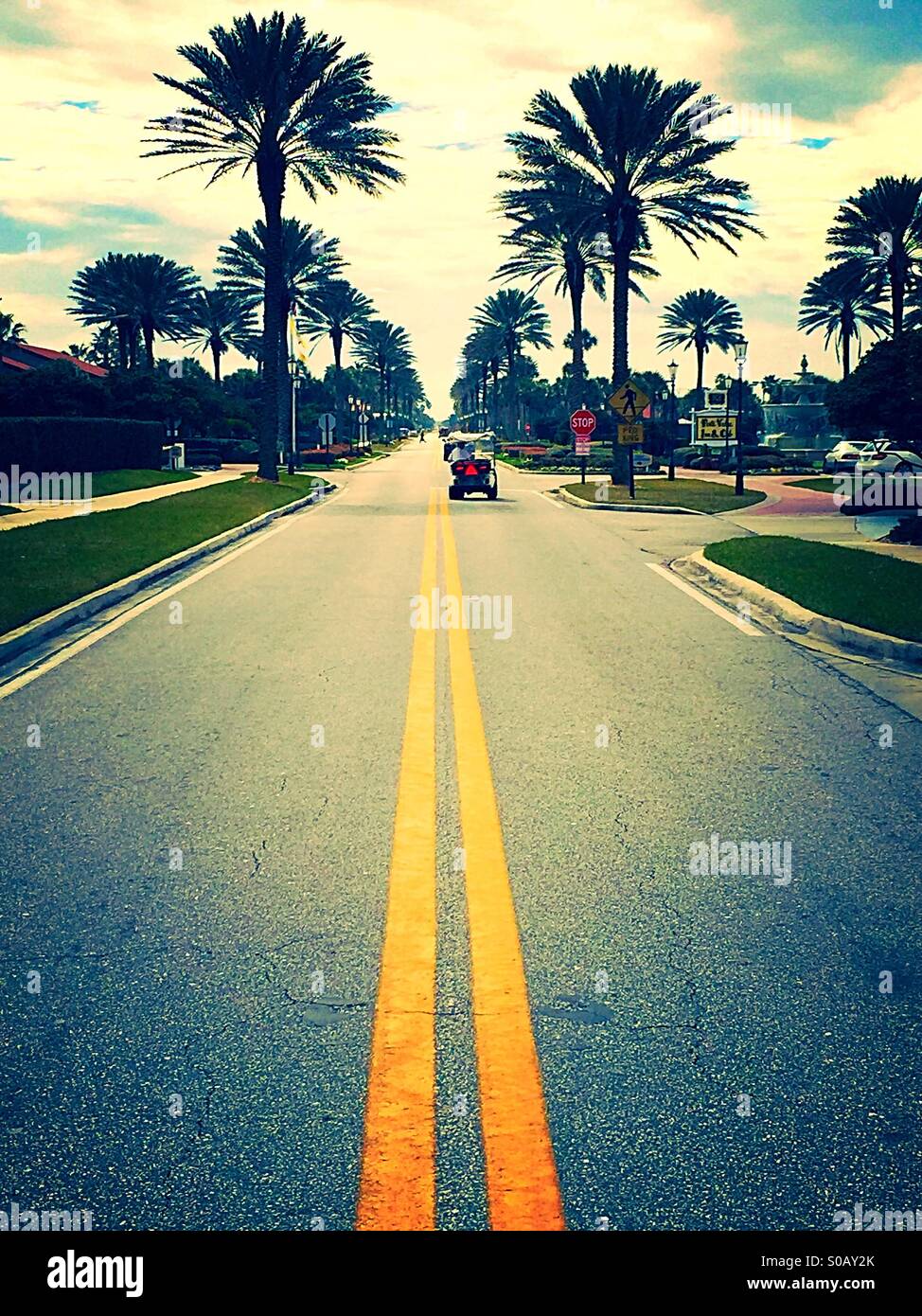 Palm lined Florida Street, USA - Smartphone Captured Stock Image