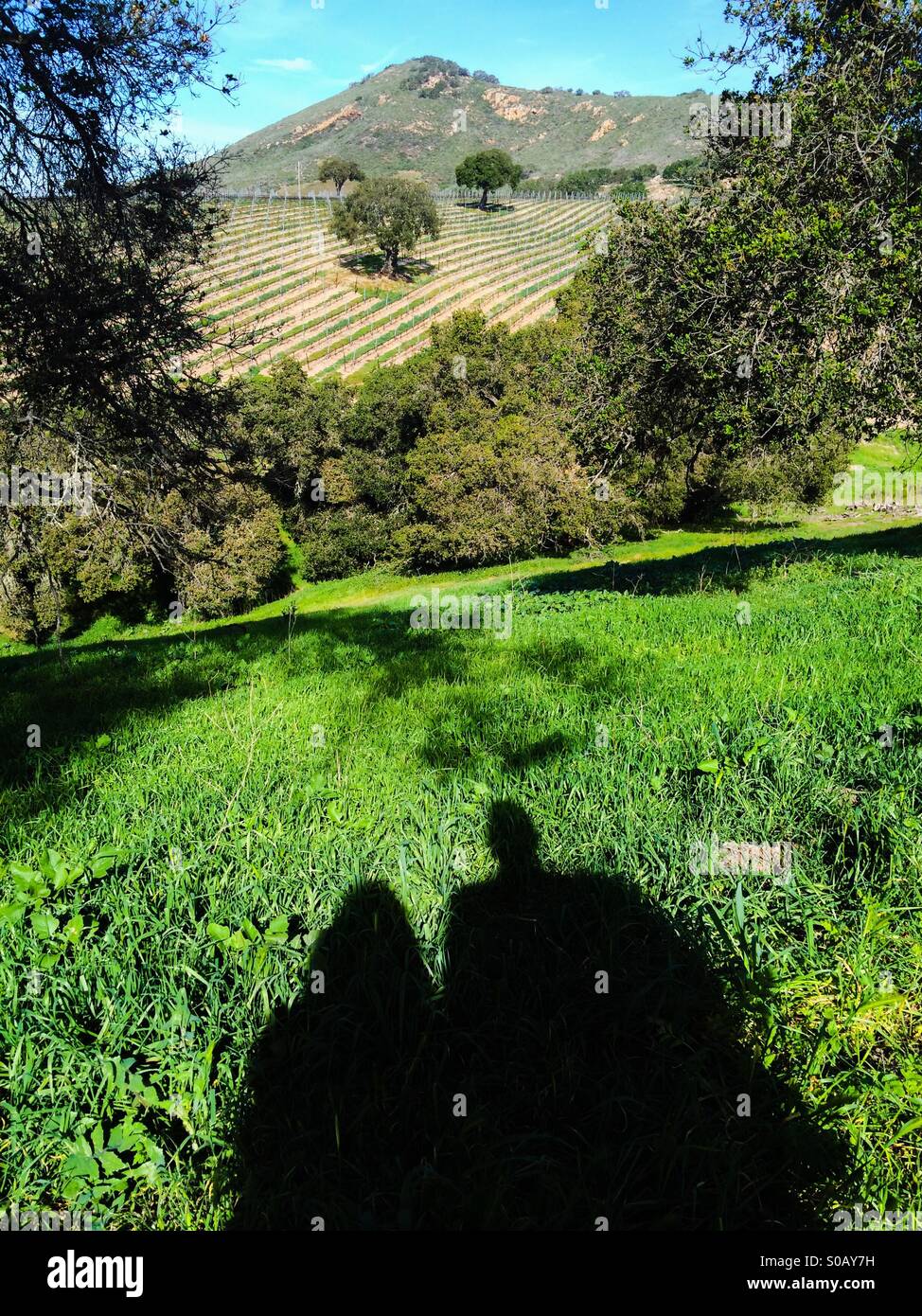 A woman and man on a romantic date wine tasting in the Central Coast region in San Luis Obispo County, California. - Smartphone Captured Stock Image