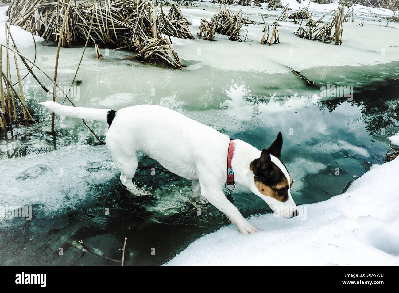 Exploration has been started smartphone stock photos and images - Alamy