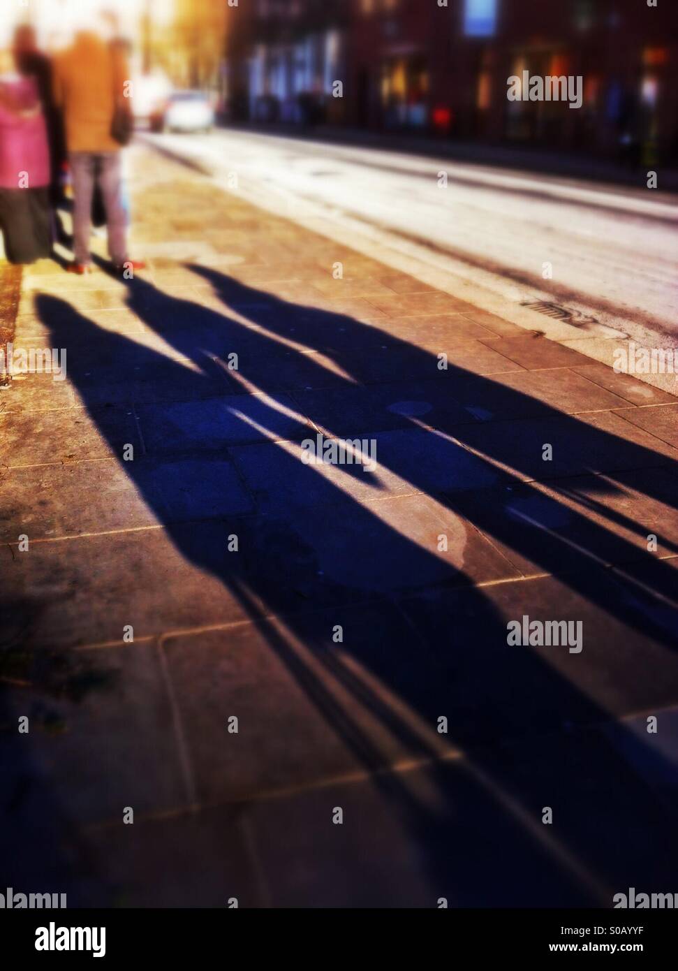 Long shadows of people during late afternoon England UK - Smartphone Captured Stock Image