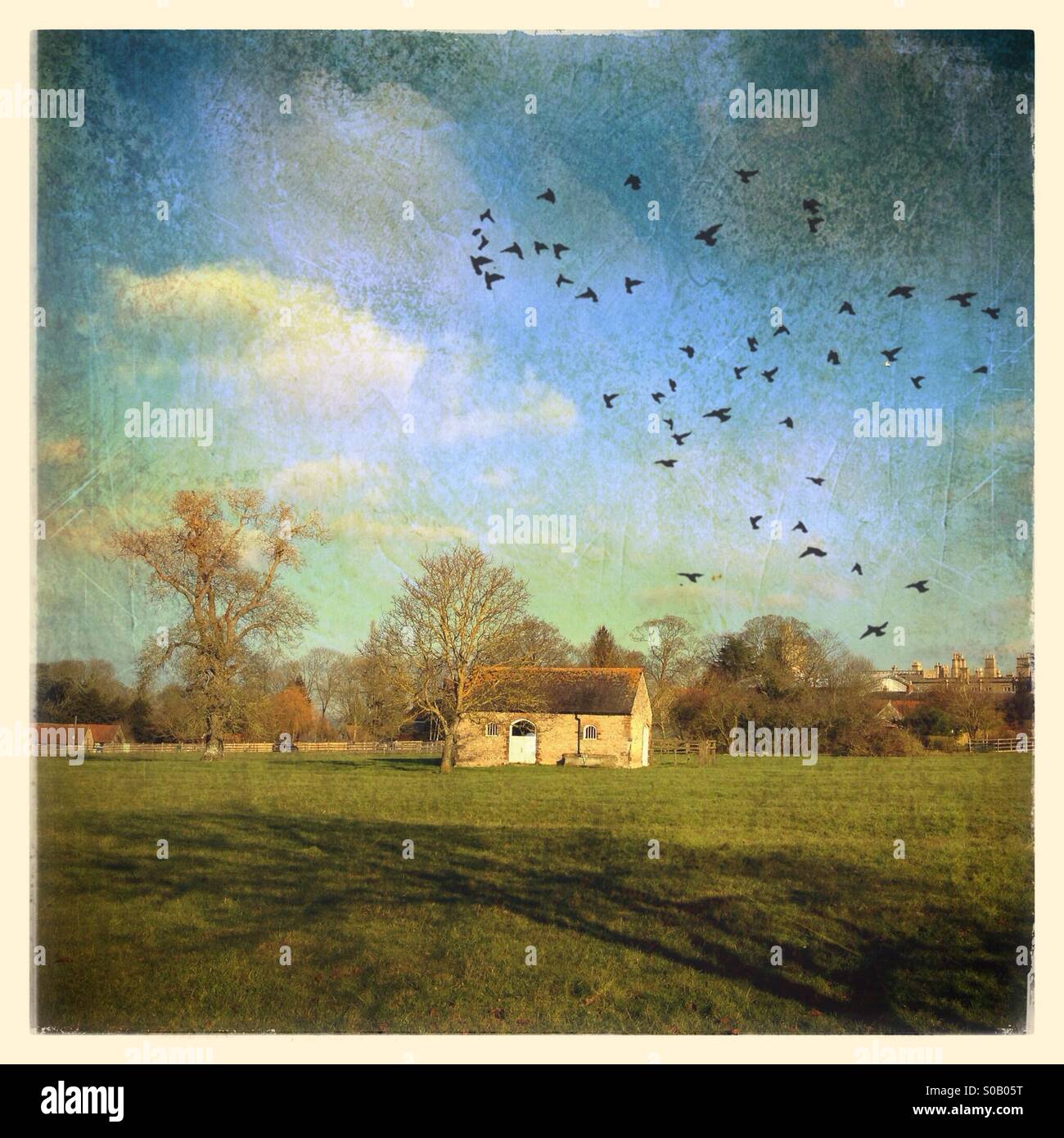 Stone built shed, with a textured effect added, Castle Ashby, Northamptonshire, UK - Smartphone Captured Stock Image