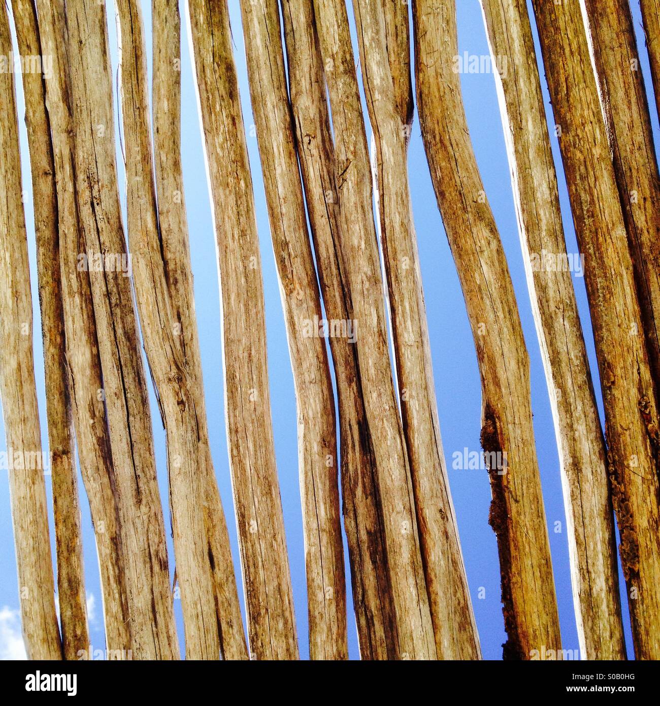 Patterns - Smartphone Captured Stock Image