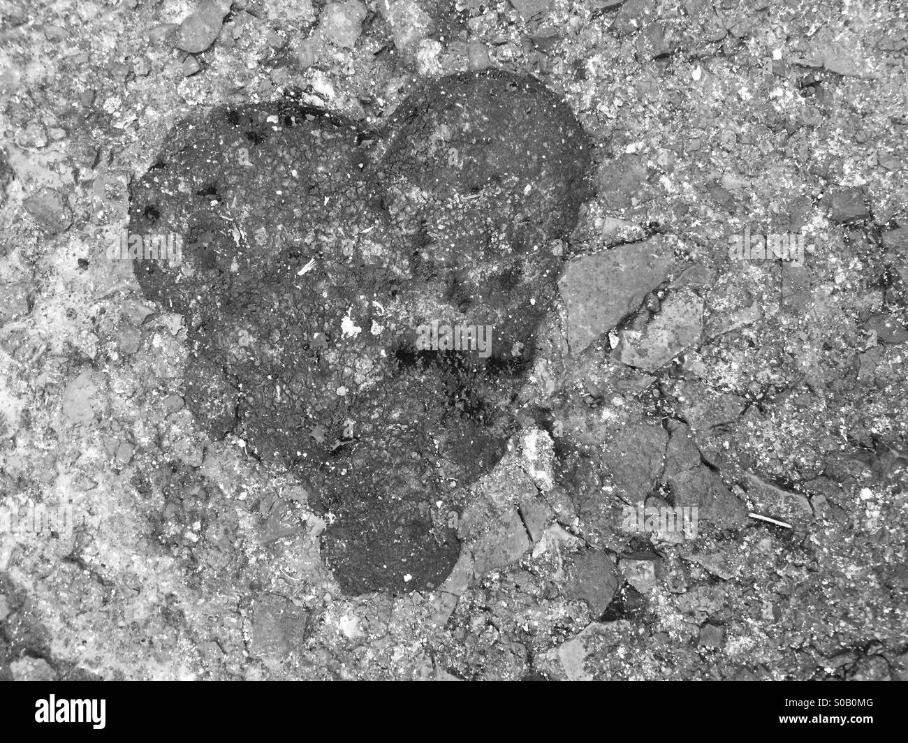 Found Art: Patched Asphalt - Smartphone Captured Stock Image