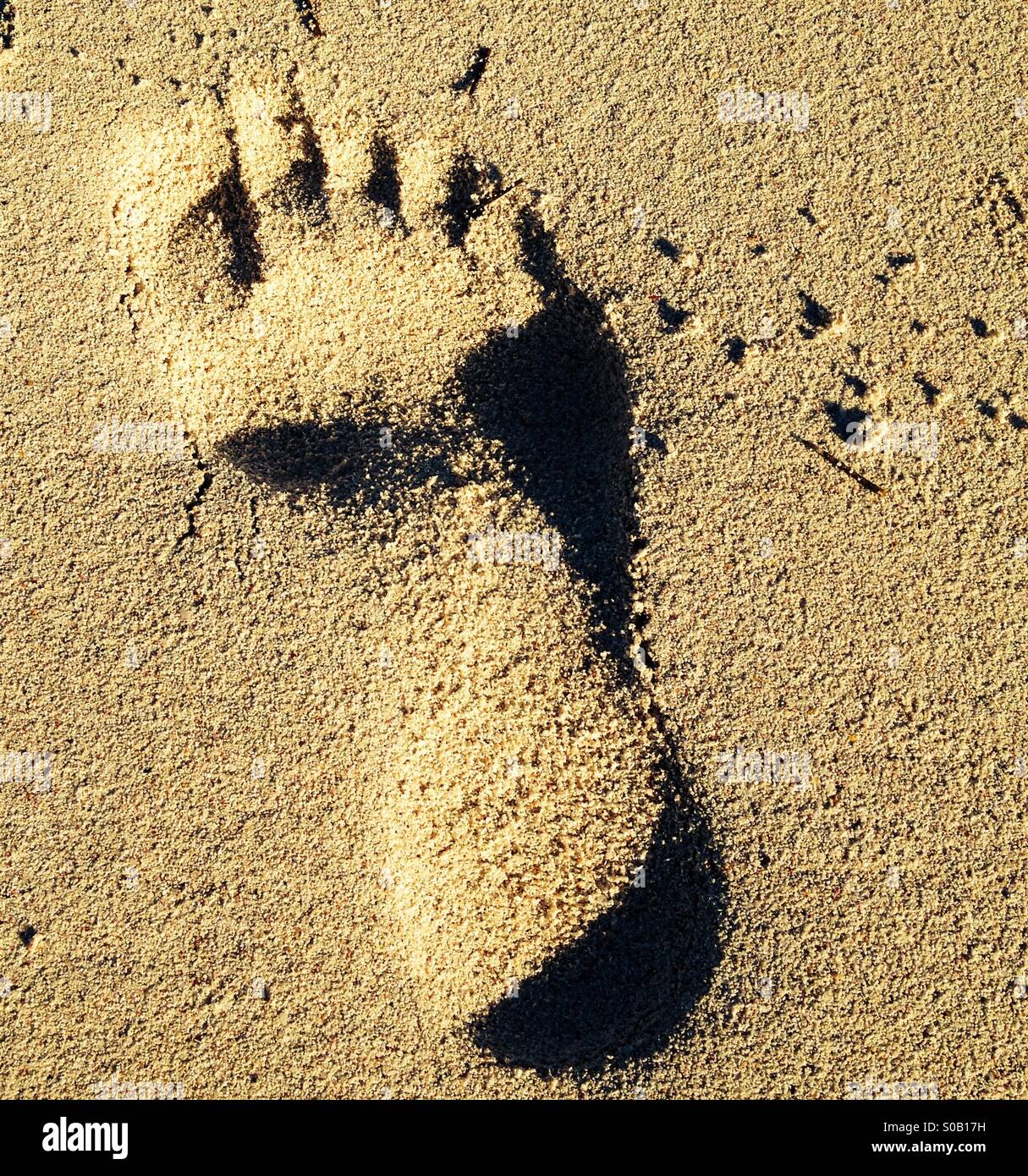 Feet in sand Stock Photo - Alamy