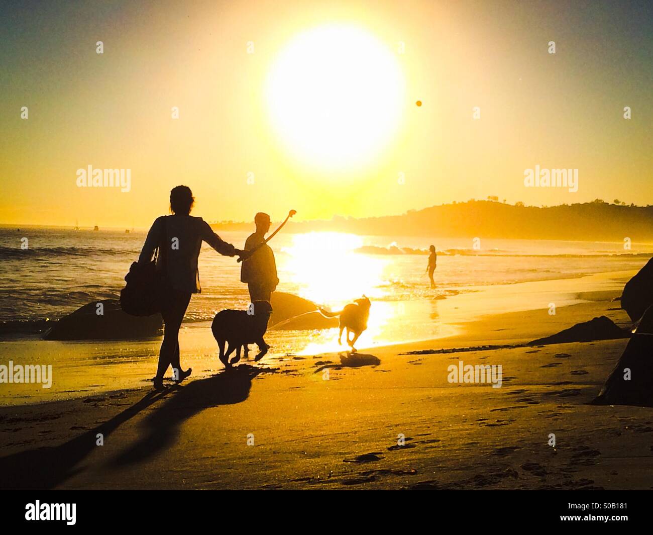Couple throwing tennis ball with dogs at East Beach, Santa Barbara, California USA Stock Photo