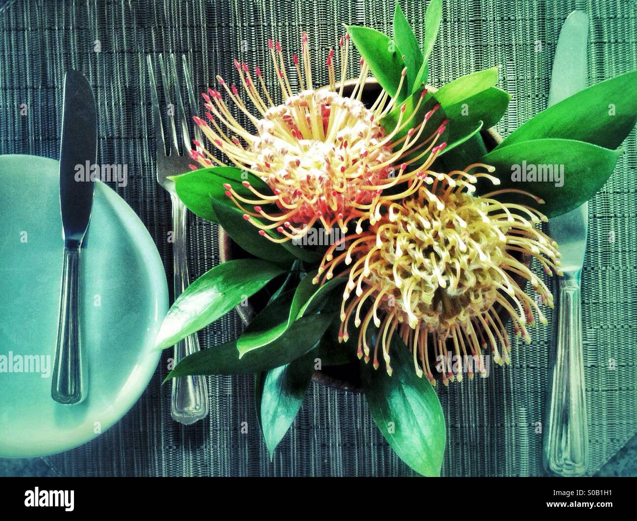 Tropical spiky flowers adorn table setting in the restaurant in Hawaii Stock Photo