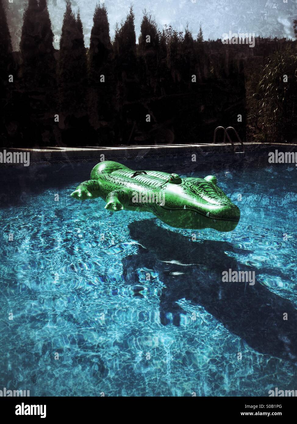 Green alligator pool toy floating in backyard pool. Distressed look. Stock Photo