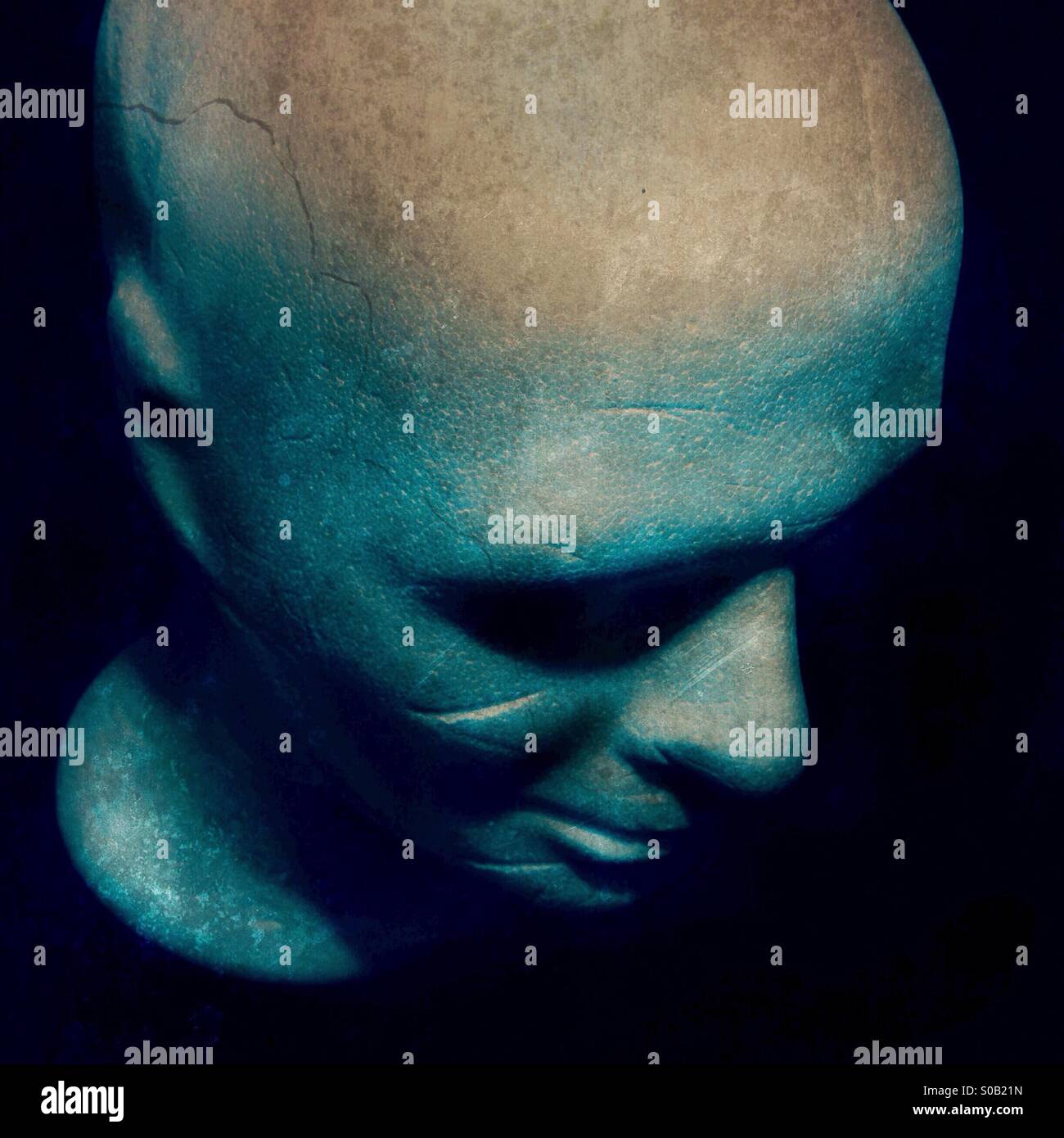 Styrofoam vintage head Stock Photo Alamy