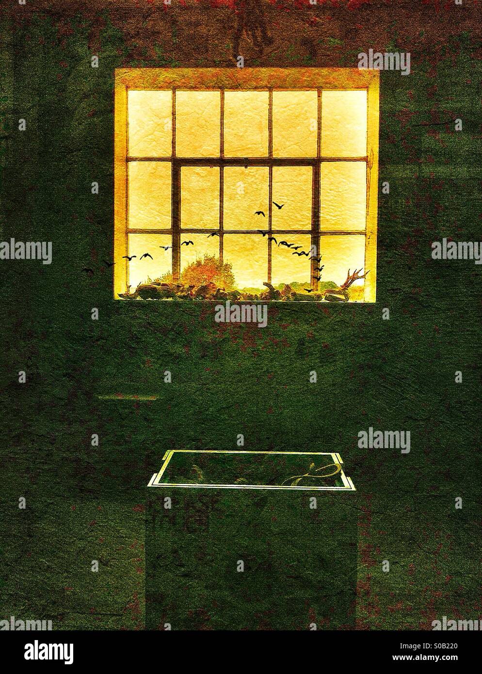 Through the window Stock Photo Alamy