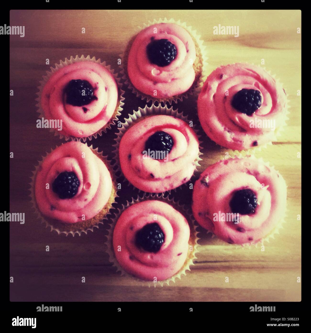 Blackberry fairy cakes or cup cakes Stock Photo