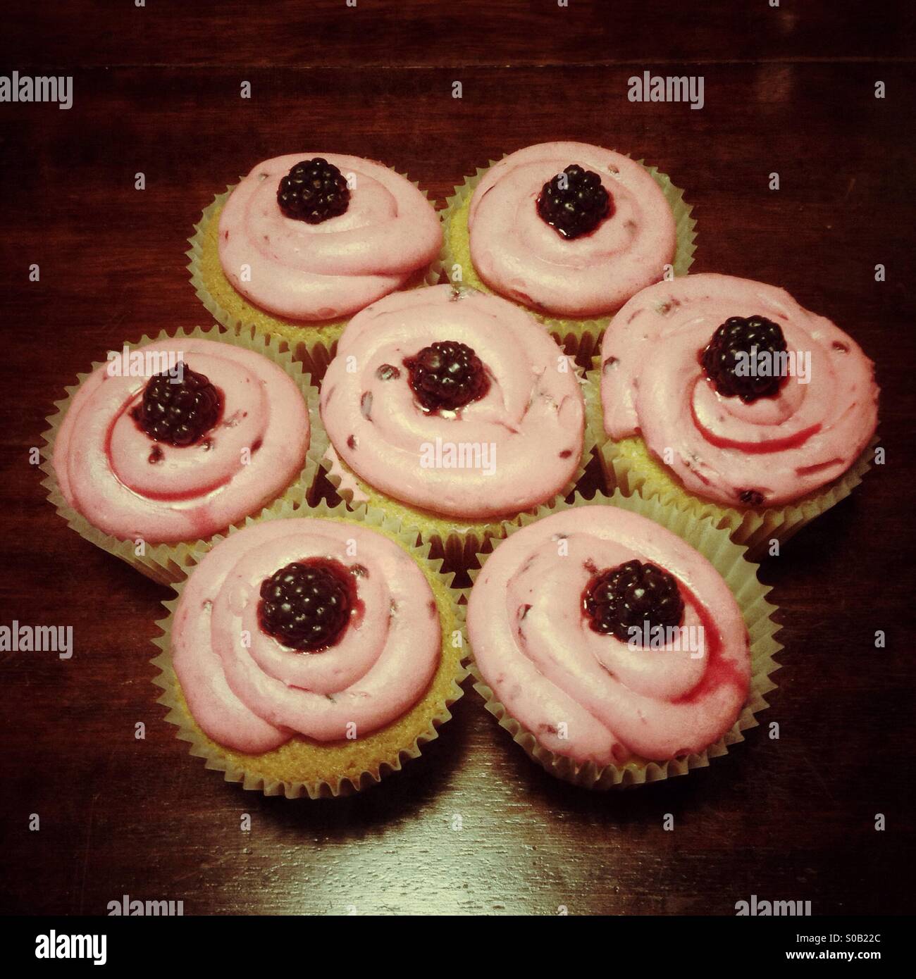 Blackberry fairy cakes or cup cakes Stock Photo