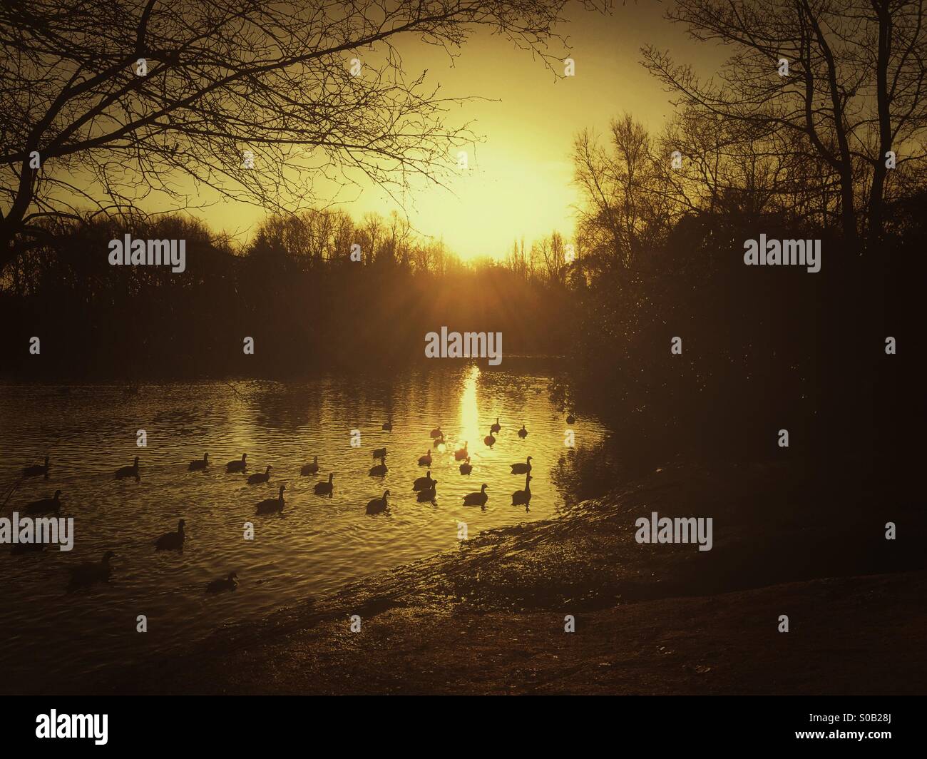 Sunrise at the lake - Smartphone Captured Stock Image