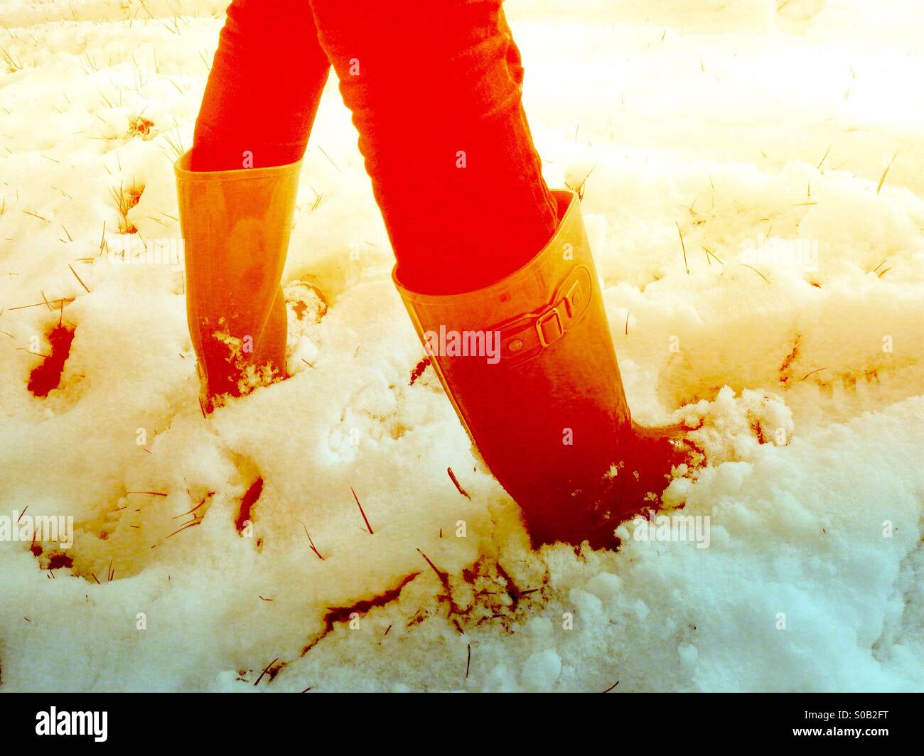 Vintage Wellington boots in snow Stock Photo