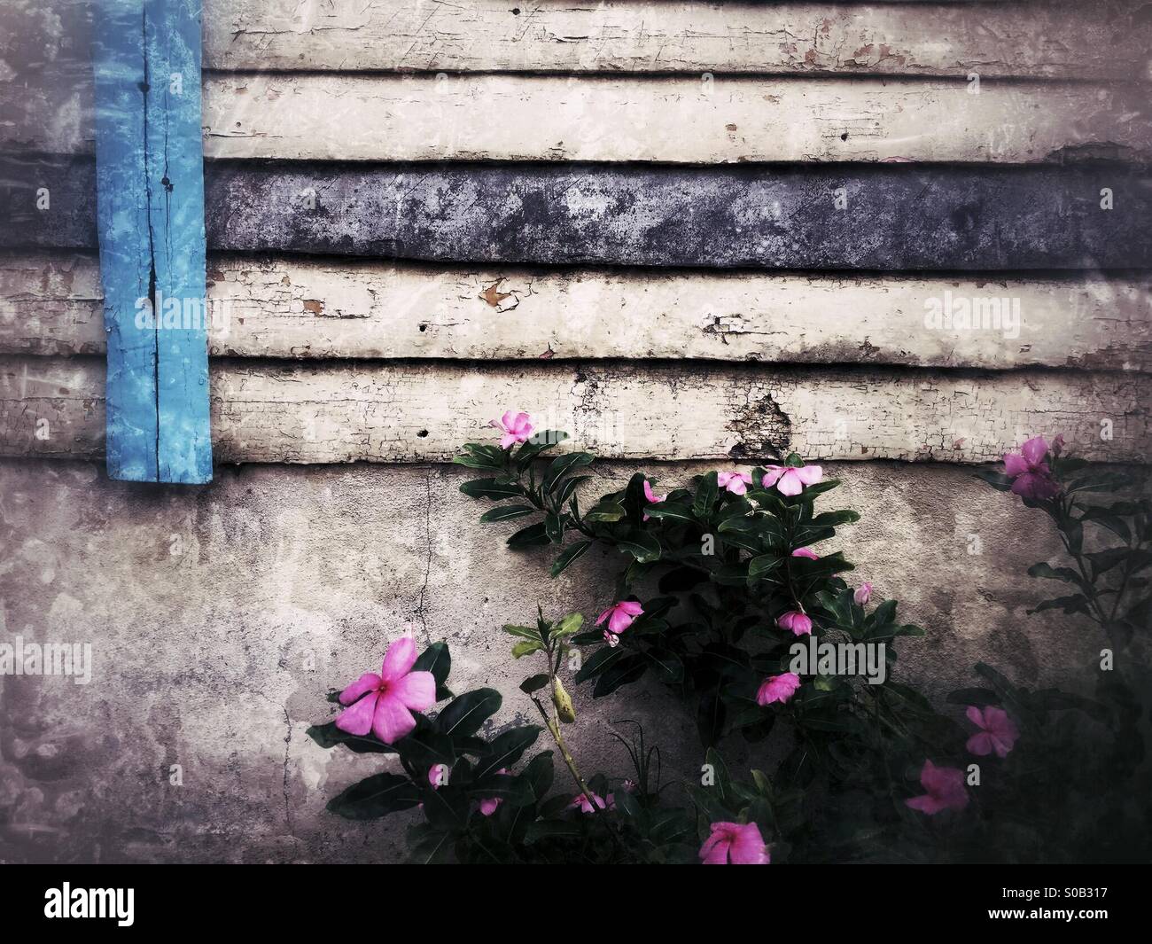 Third World Cottage - Smartphone Captured Stock Image