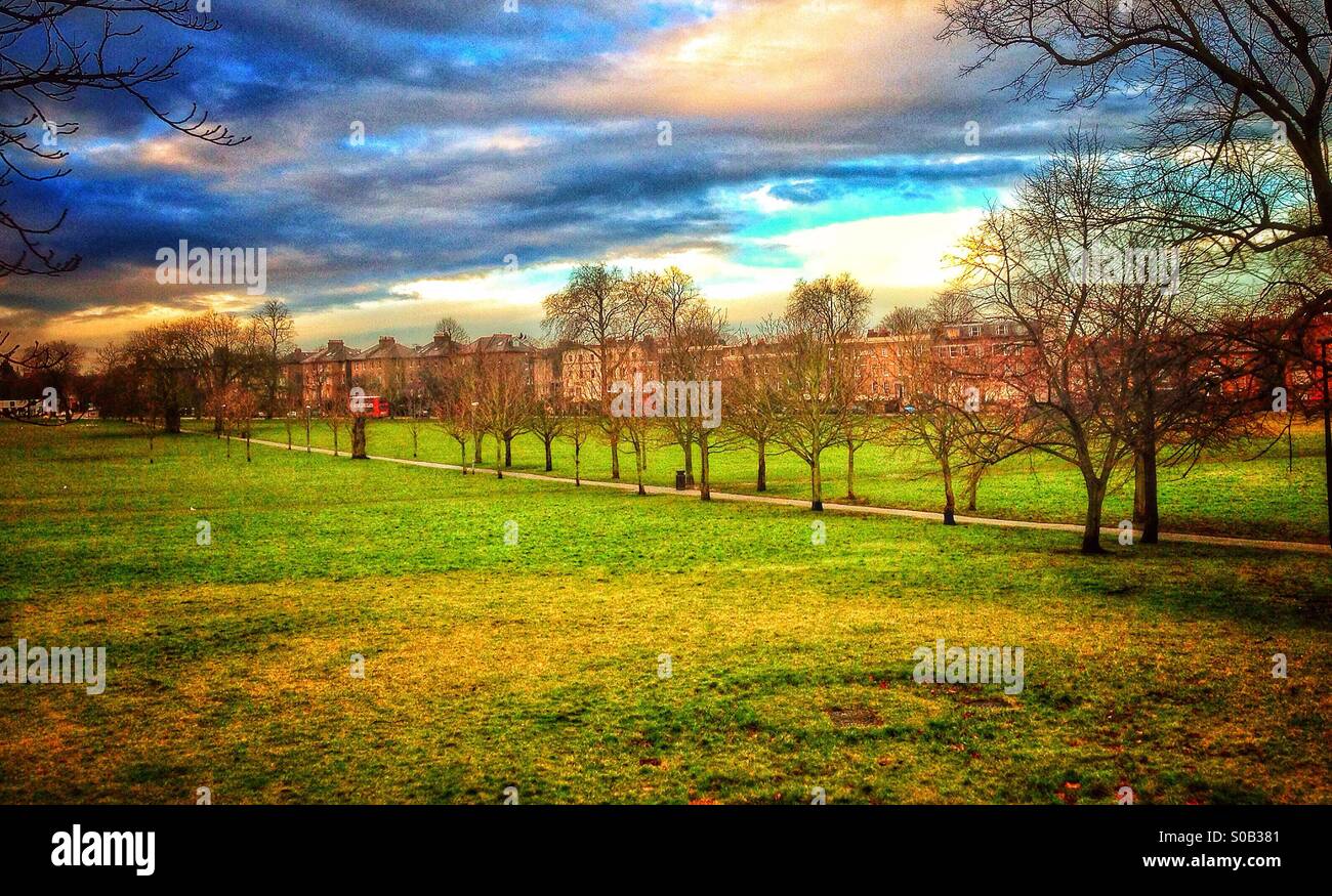 peckham rye ties